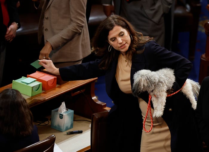 Representative Nancy Mace casts vote while holding her dog on House Floor