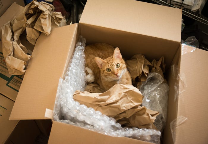 A cat in a box surrounded by bubblewrap.