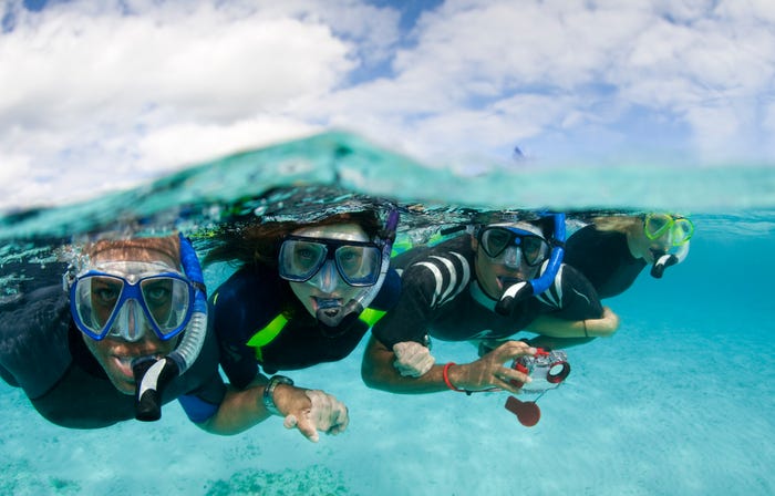 People snorkeling together in the ocean.