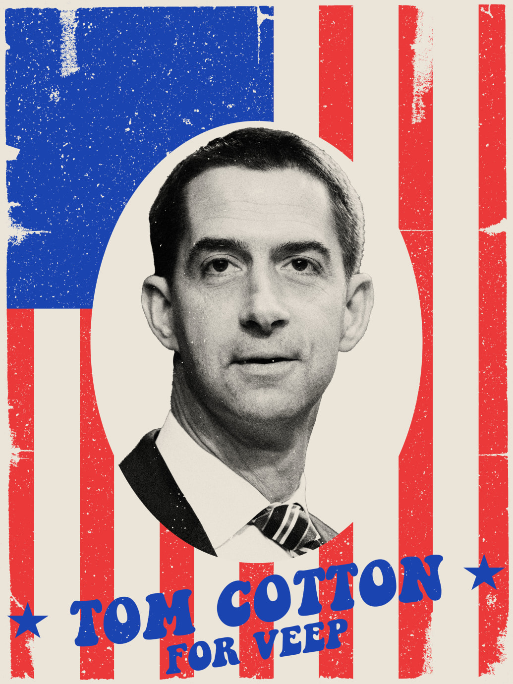 Vice Presidential campaign poster featuring Tom Cotton