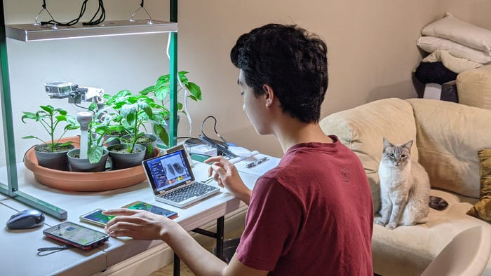 teenage boy in red shirt working on tiny computer and three smartphones on a white card table with small plants growing under a grow light an a white cat sitting on an armchair beside him